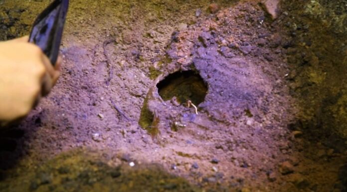 Wilczy Szaniec. Szokujące odkrycie pod podłogą Göringa! (FILM)