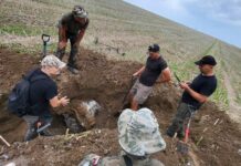 Niósł pomoc walczącej Warszawie… szczątki bombowca RAF-u odkryte w okolicach Opatowa (GALERIA) Szczątki bombowca Handley Page Halifax EB-147 fot. Stowarzyszenie Historyczno-Archeologicznego im. 2 Pułku Piechoty Legionów