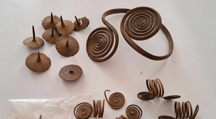 Wspaniały skarb z epoki brązu odnaleziony przez członka Sochaczewskiej Grupy Odkrywców Historii Skarb odkryty na terenie gminy Młodzieszyn fot. strona grupy na Facebooku