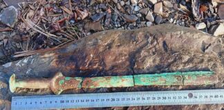 Miecz z epoki brązu odkryty na Podkarpaciu (GALERIA) Miecz z epoki brązu odkryty w Sękowej