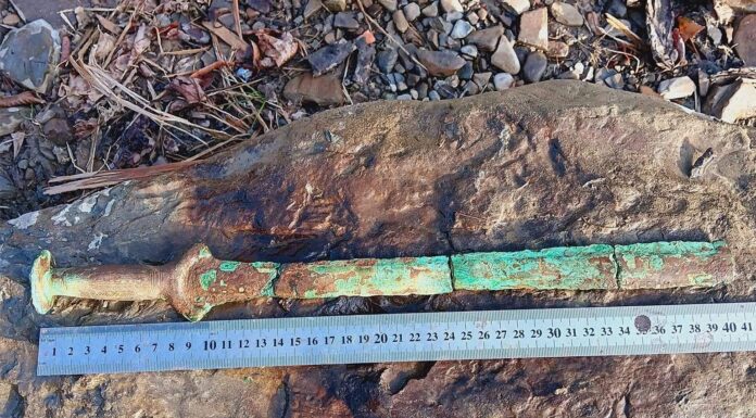 Miecz z epoki brązu odkryty na Podkarpaciu (GALERIA) Miecz z epoki brązu odkryty w Sękowej