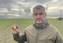 Średniowieczna złota moneta odkryta w okolicy Kamienia Pomorskiego (GALERIA)