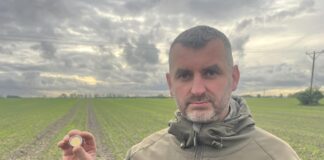Średniowieczna złota moneta odkryta w okolicy Kamienia Pomorskiego (GALERIA)