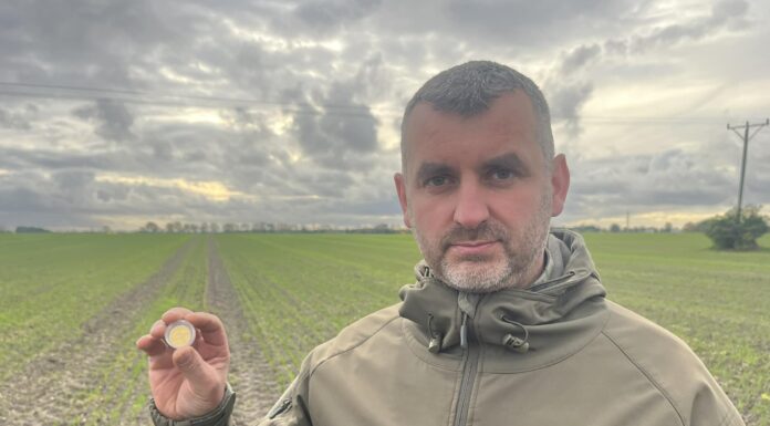 Średniowieczna złota moneta odkryta w okolicy Kamienia Pomorskiego (GALERIA)