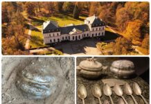 Srebrny depozyt odkryty przy Pałacu w Sieniawie (GALERIA)