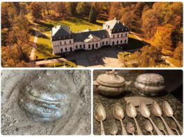 Srebrny depozyt odkryty przy Pałacu w Sieniawie (GALERIA)