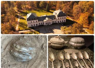 Srebrny depozyt odkryty przy Pałacu w Sieniawie (GALERIA)