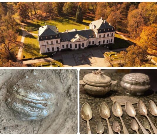 Srebrny depozyt odkryty przy Pałacu w Sieniawie (GALERIA)