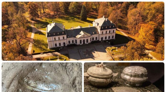 Srebrny depozyt odkryty przy Pałacu w Sieniawie (GALERIA)