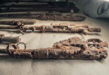 Niesamowite odkrycie depozytu z września 1939 r. w Twierdzy Modlin (GALERIA) Wydobyty depozyt broni fot. zbiory SHB Triglav