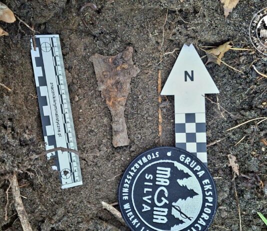 Rzadkie średniowieczne groty strzał odkryte niedaleko miejscowości Supraśl, w woj. podlaskim Grot odnaleziony przez grupe fot. zbiory własne grupy