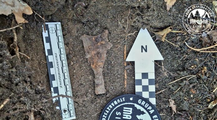 Rzadkie średniowieczne groty strzał odkryte niedaleko miejscowości Supraśl, w woj. podlaskim Grot odnaleziony przez grupe fot. zbiory własne grupy