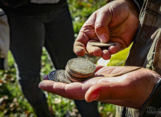 Ogromny skarb talarów odkryty na Mazowszu (DUŻA GALERIA) Skarb srebrnych talarów trafiony na Mazowszu