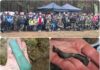 Ciekawe znaleziska sprzed kilku tysięcy lat odkryte na zlocie poszukiwaczy (GALERIA) świąteczny zlot poszukiwaczy fot. zdjęcia grupy Weles; źródło: Facebook
