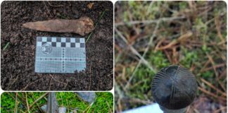 Trzy znaleziska z epoki w brązu w ciągu pięciu dni! Kaliska Grupa Eksploracyjna zamyka rok niesamowitymi odkryciami (GALERIA) skarby epoki brązu