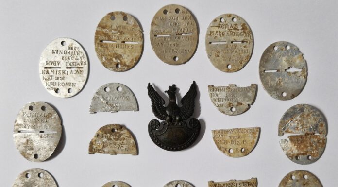 Za każdym nieśmiertelnikiem kryje się ludzka historia. Odnalezione, po latach wracają do krewnych ofiar wojen Zbiory nieśmiertelników SGOH