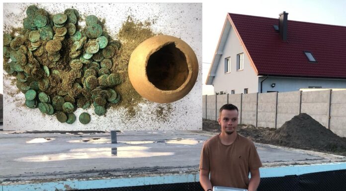 Skarb 466 monet z XVII wieku odkryty przy budowie domu