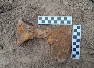 Średniowieczne topory bojowe odkryte pod Krasnymstawem (GALERIA)