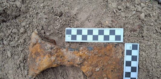 Średniowieczne topory bojowe odkryte pod Krasnymstawem (GALERIA)