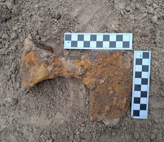 Średniowieczne topory bojowe odkryte pod Krasnymstawem (GALERIA)