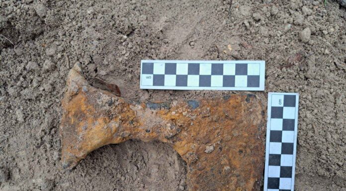 Średniowieczne topory bojowe odkryte pod Krasnymstawem (GALERIA)