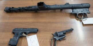 Wyjątkowe znaleziska odkryto we Wdeckim Parku Krajobrazowym (GALERIA) Podjete-znaleziska-depozytu-broni