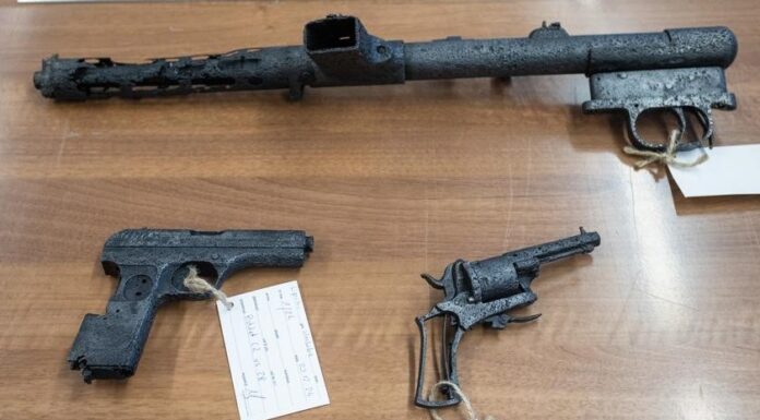 Wyjątkowe znaleziska odkryto we Wdeckim Parku Krajobrazowym (GALERIA) Podjete-znaleziska-depozytu-broni