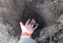 Rozorany skarb z epoki brązu odkryto w miejscowości Krzywin Sztylet z epoki brązu