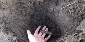 Rozorany skarb z epoki brązu odkryto w miejscowości Krzywin Sztylet z epoki brązu