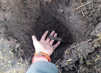 Rozorany skarb z epoki brązu odkryto w miejscowości Krzywin Sztylet z epoki brązu