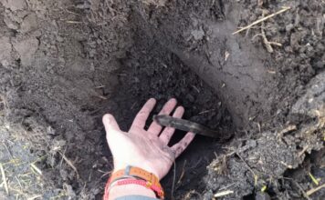 Rozorany skarb z epoki brązu odkryto w miejscowości Krzywin Sztylet z epoki brązu