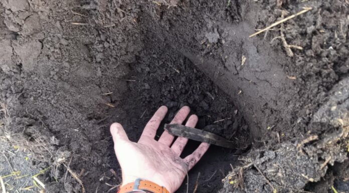 Rozorany skarb z epoki brązu odkryto w miejscowości Krzywin Sztylet z epoki brązu