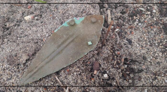 Odkrycie świetnie zachowanego sztyletu sprzed kilku tysięcy lat! (GALERIA) ostrze-przed-wydobyciem