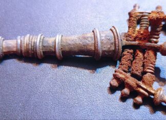 Przerwanie prac poszukiwawczych. Znaleziska świadczą o odkryciu pradawnego cmentarza! srebrna fibula