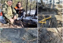 Rzymski miecz sprzed 2000 lat! Wspaniałe odkrycie Stowarzyszenia Inventum (GALERIA) znalazcy ze stowarzyszenia Inventum