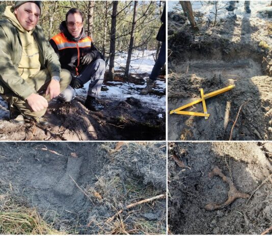 Rzymski miecz sprzed 2000 lat! Wspaniałe odkrycie Stowarzyszenia Inventum (GALERIA) znalazcy ze stowarzyszenia Inventum