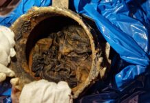 Depozyt z chorągwią wojskową 37 pp – niewiarygodne odkrycie poszukiwaczy… Chorągiew wojskowa 37 Łęczyckiego Pułku Piechoty im. ks. Józefa Poniatowskiego fot. Sochaczewska Grupa Odkrywców Historii