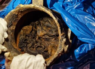 Depozyt z chorągwią wojskową 37 pp – niewiarygodne odkrycie poszukiwaczy… Chorągiew wojskowa 37 Łęczyckiego Pułku Piechoty im. ks. Józefa Poniatowskiego fot. Sochaczewska Grupa Odkrywców Historii