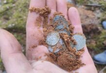 Odkryli skarb średniowiecznych krzyżackich srebrnych monet! (GALERIA)