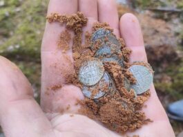 Odkryli skarb średniowiecznych krzyżackich srebrnych monet! (GALERIA)