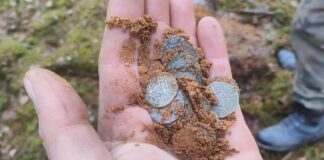 Odkryli skarb średniowiecznych krzyżackich srebrnych monet! (GALERIA)