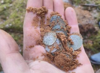 Odkryli skarb średniowiecznych krzyżackich srebrnych monet! (GALERIA)