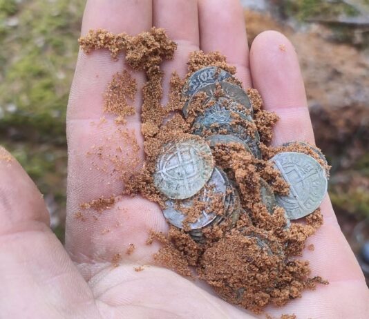 Odkryli skarb średniowiecznych krzyżackich srebrnych monet! (GALERIA)