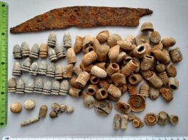 Odkryli miejsce bitwy powstańców z 1863 roku! Dziesiątki zabytków… (GALERIA) ołowiane pociski i kule oraz żelazny nóż