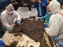 To już pewne! Odkryto sztandar 68. Pułku Piechoty… Sztandar 68. Wrzesińskiego Pułku Piechoty