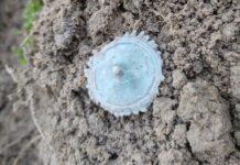 Rzymianie w okolicach Leśniewa? Piękne odkrycie archeologiczne (GALERIA) znalezisko po wydobyciu