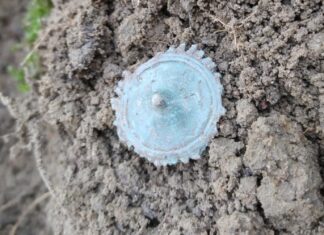 Rzymianie w okolicach Leśniewa? Piękne odkrycie archeologiczne (GALERIA) znalezisko po wydobyciu