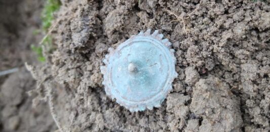 Rzymianie w okolicach Leśniewa? Piękne odkrycie archeologiczne (GALERIA) znalezisko po wydobyciu