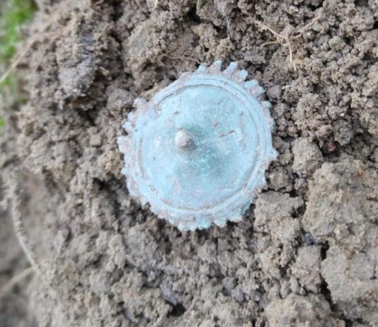 Rzymianie w okolicach Leśniewa? Piękne odkrycie archeologiczne (GALERIA) znalezisko po wydobyciu