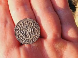 Niesamowite odkrycie rzadkiego srebrnego denara książęcego! (GALERIA)